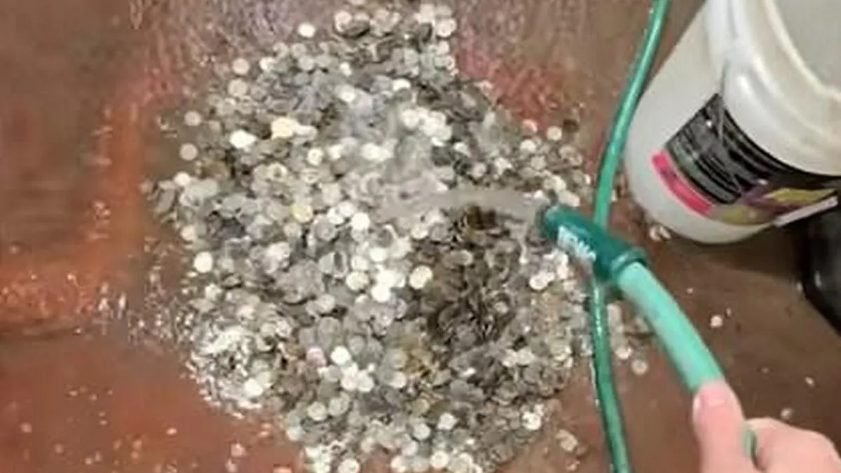 Замість ремонту – джекпот: як 6000 захованих монет змінили плани власника старої мийки