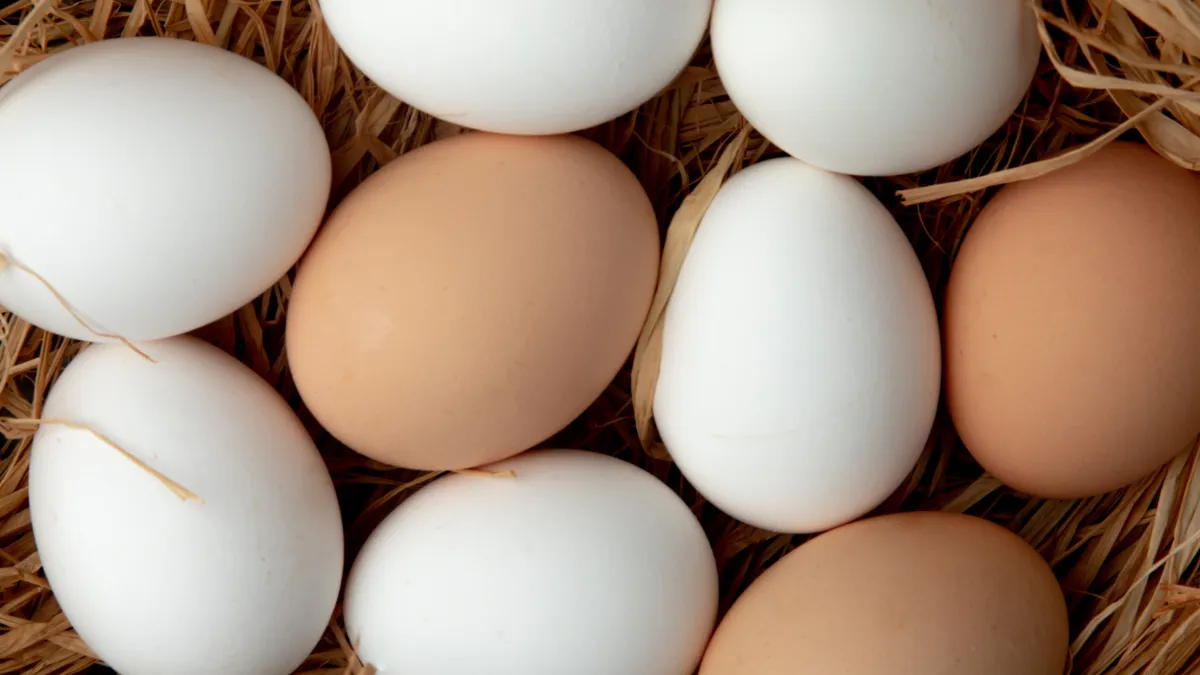 Білі чи коричневі: які яйця насправді корисніші та чим вони відрізняються