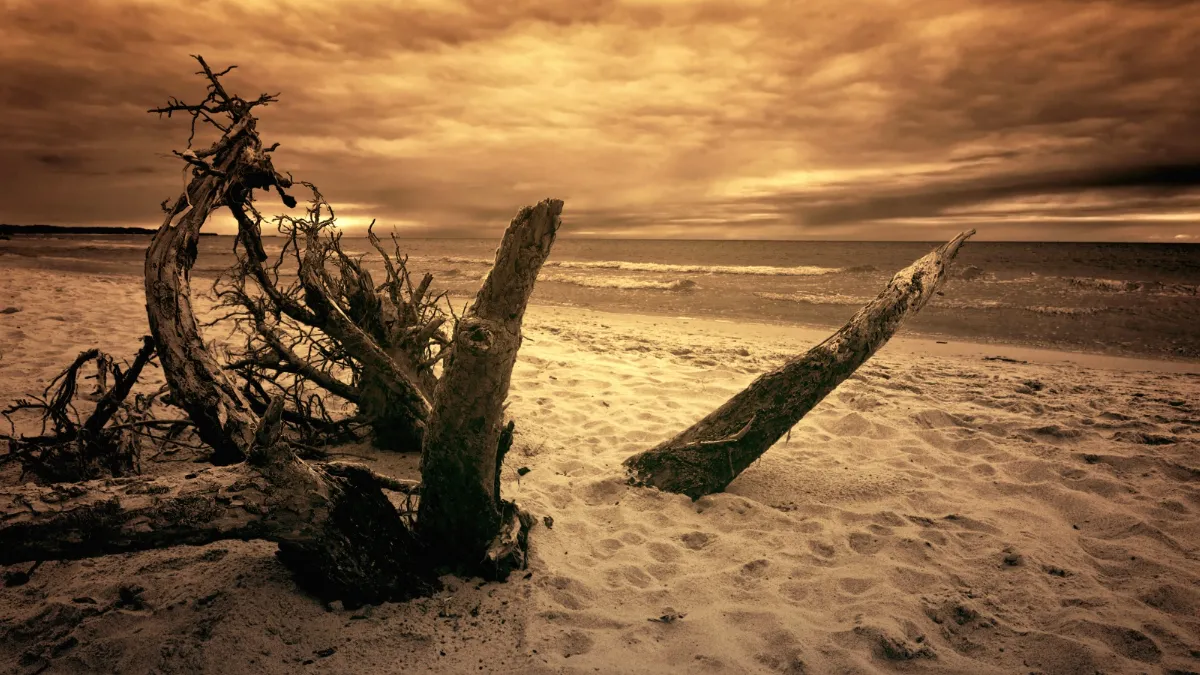 «Чорний ящик» Землі: в Австралії зводять бункер для даних на випадок апокаліпсису