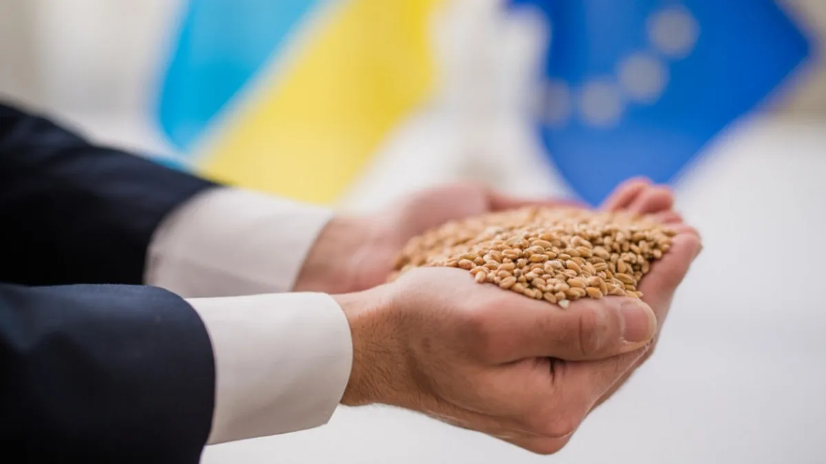 ЄС знижує мита на українську агропродукцію: як тепер буде йти експорт з України в Європу