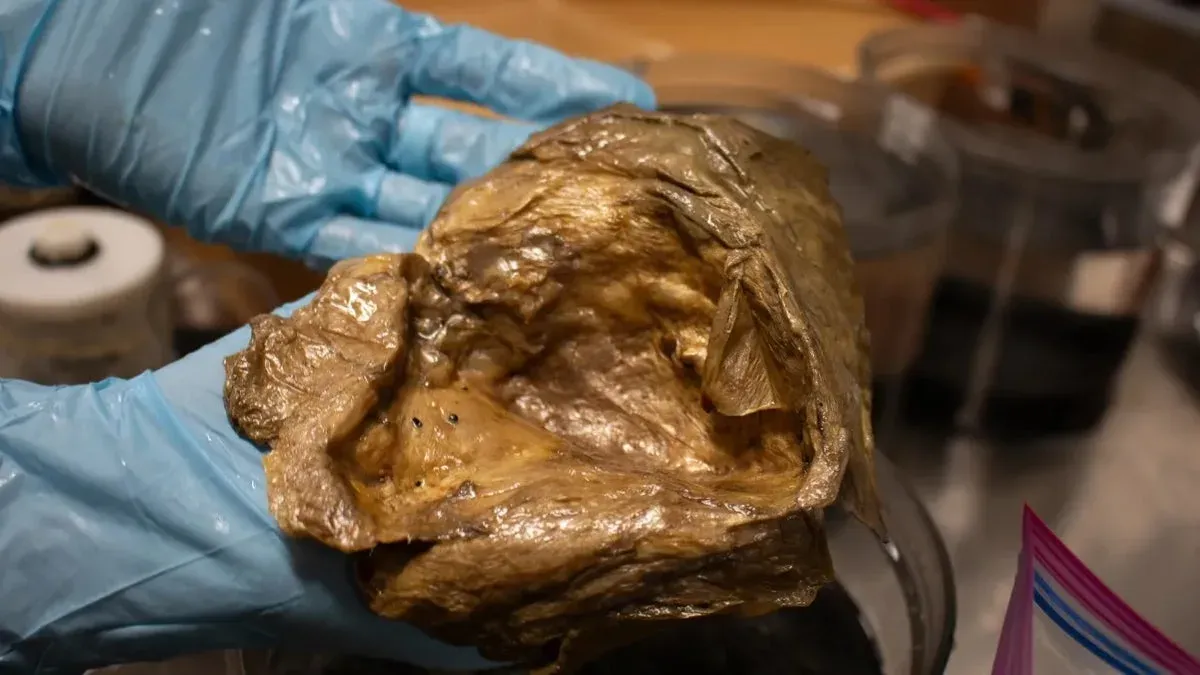 Знахідка на дні океану: науковці розкрили таємницю походження золотої кулі