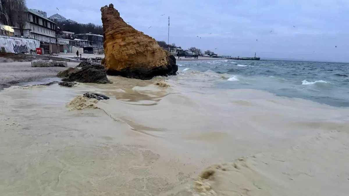 На узбережжі Одеси виявили ймовірне нафтове забруднення та загиблих птахів: місцева влада повідомила деталі