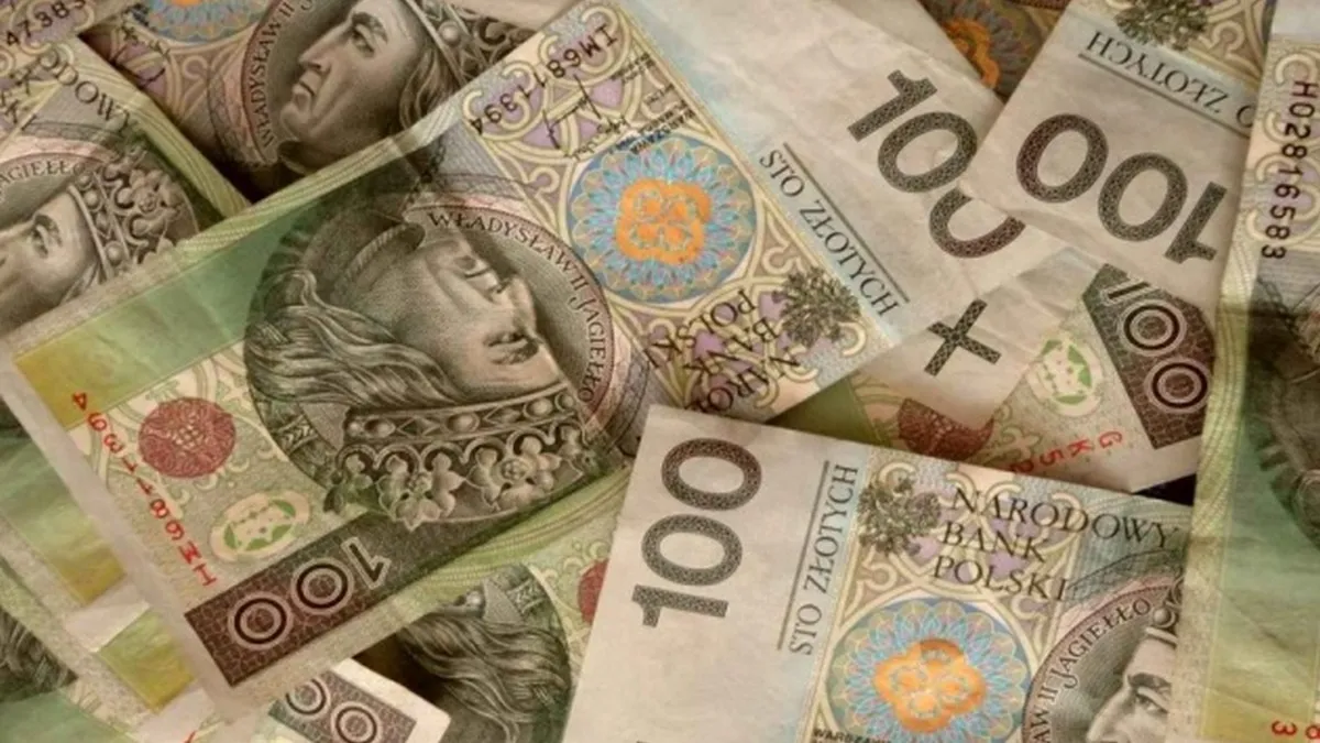 Українці в Польщі стали більше заробляти: в яких секторах економіки працюють наші біженці