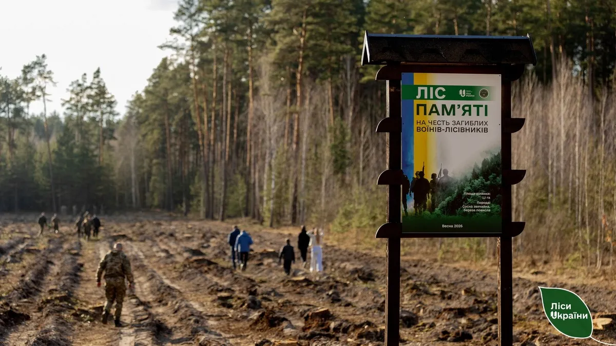 «Ліс пам’яті» висадили на Чернігівщині на честь загиблого воїна-лісівника: фото меморіалу
