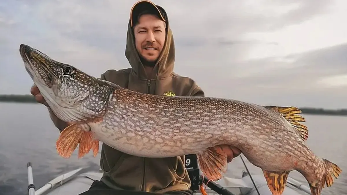 Ловля щуки в Україні може коштувати тисячі гривень: коли закінчиться заборона на вилов хижачки