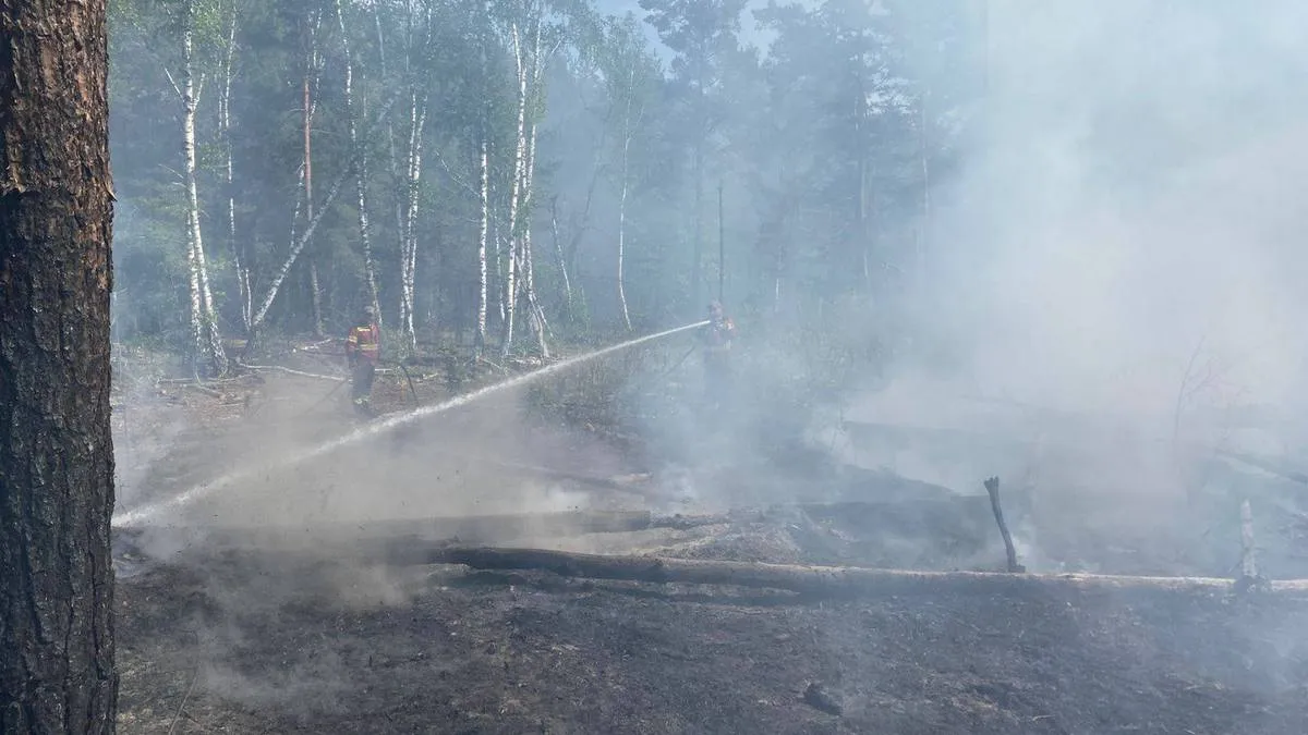 Російські дрони спричинили пожежу у Чорнобильській зоні: подробиці складної ситуації