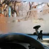 Секрет проти запотівання вікон: що має бути в кожному авто цієї зими, аби швидко позбутися конденсату