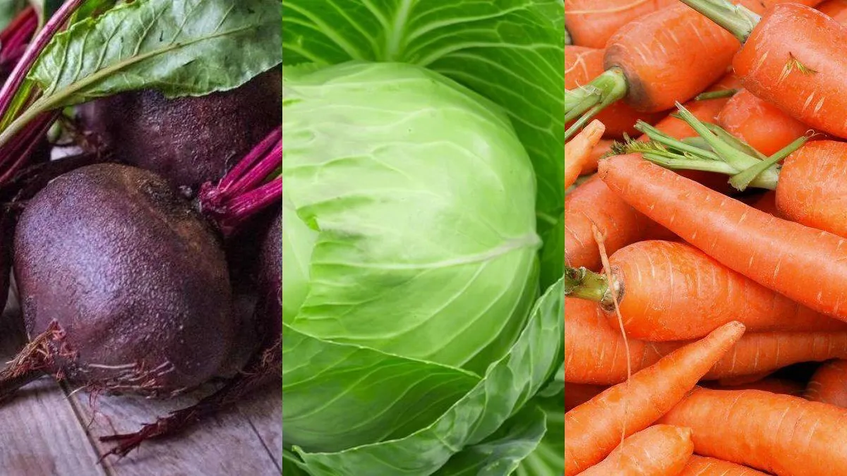 Буряк для печінки, селера для схуднення: 5 звичайних овочів березня, які корисніші, ніж дорогі суперфуди