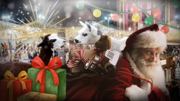 Карнавал тварин та резиденція Санти. Куди піти з дітьми в Києві на день святого Миколая