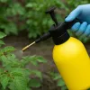 Чому ваша картопля хворіє? Ось як її обробити, щоб уникнути втрати врожаю