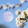 Гороскоп на 15 липня: кому варто уважніше придивитися до знаків долі
