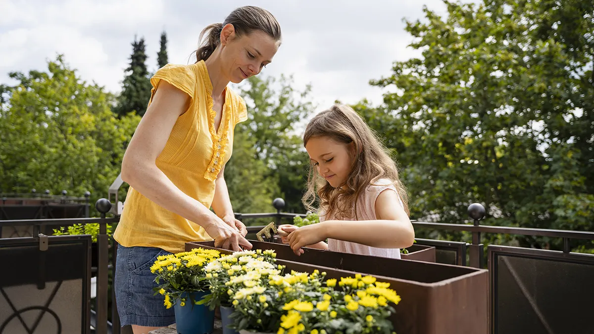 Королеви літа: які квіти посіяти в березні, щоб ваш балкон став схожим на ботанічний сад у червні