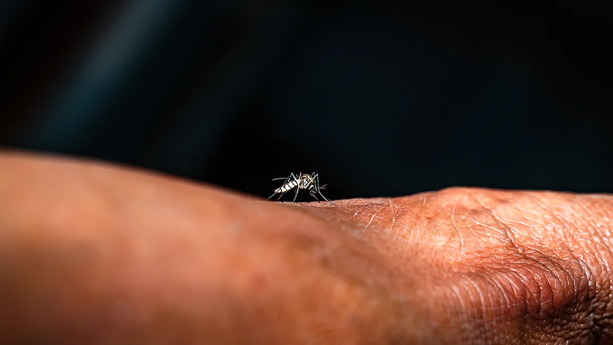 Поїздка на Мальдіви закінчилася діагнозом: у жінки підтвердили гарячку Денге – як не захворіти