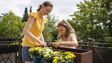 Королеви літа: які квіти посіяти в березні, щоб ваш балкон став схожим на ботанічний сад у червні