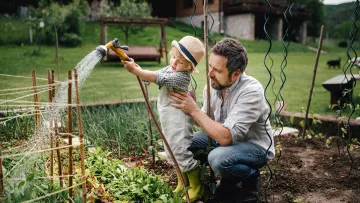 Березневий старт: які 5 овочів потрібно посіяти на розсаду саме в першій половині березня