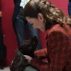 Принцеса Уельська обмовилася про нового улюбленця сім’ї: як виглядає пес і якої він породи