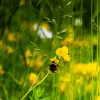 Несподіваний поворот подій змінить плани кількох знаків Зодіаку: гороскоп на 2 серпня
