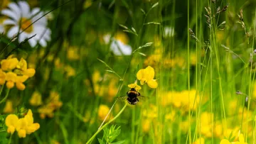 Несподіваний поворот подій змінить плани кількох знаків Зодіаку: гороскоп на 2 серпня
