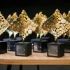 «‎Золота дзиґа-2025»: стали відомі переможці престижної кінопремії