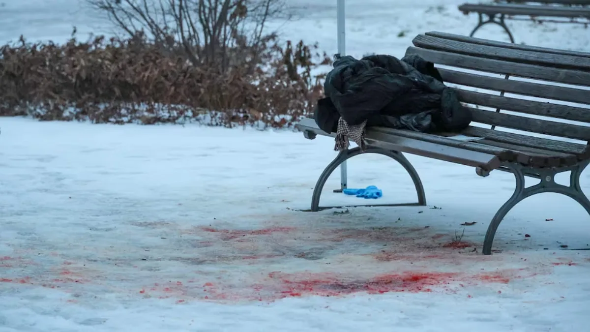 Українку знайшли мертвою в парку Берліна: поліція затримала підозрюваного