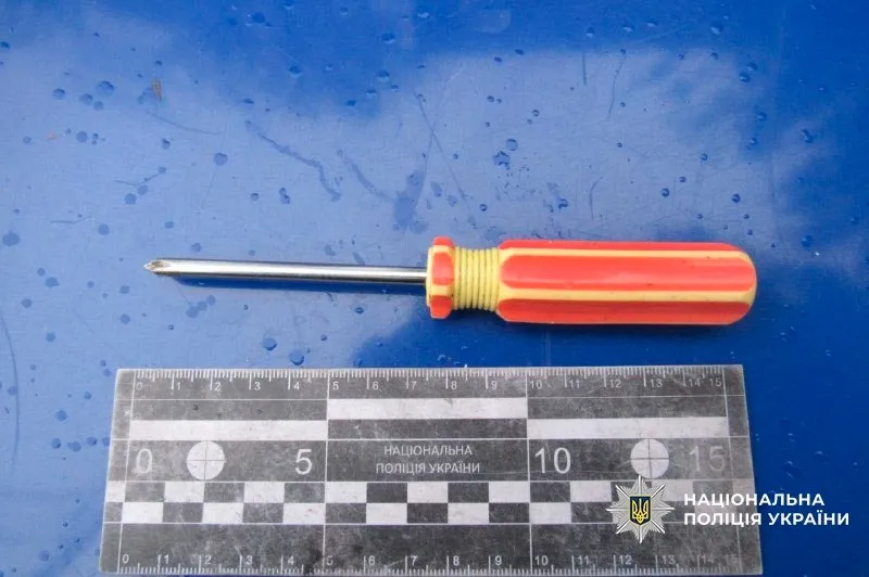 викрутка, київ, кримінал