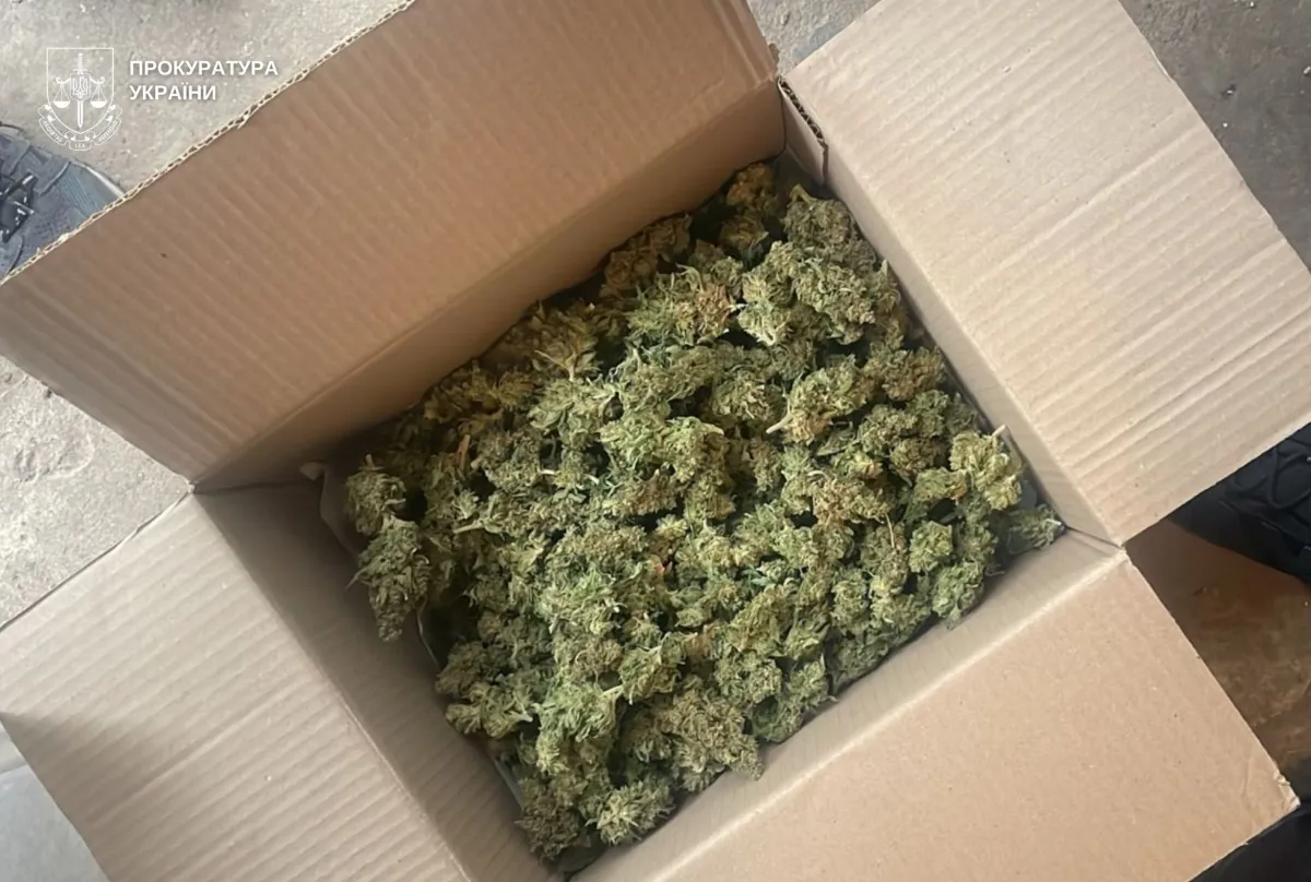 конопля, марихуана, канабіс