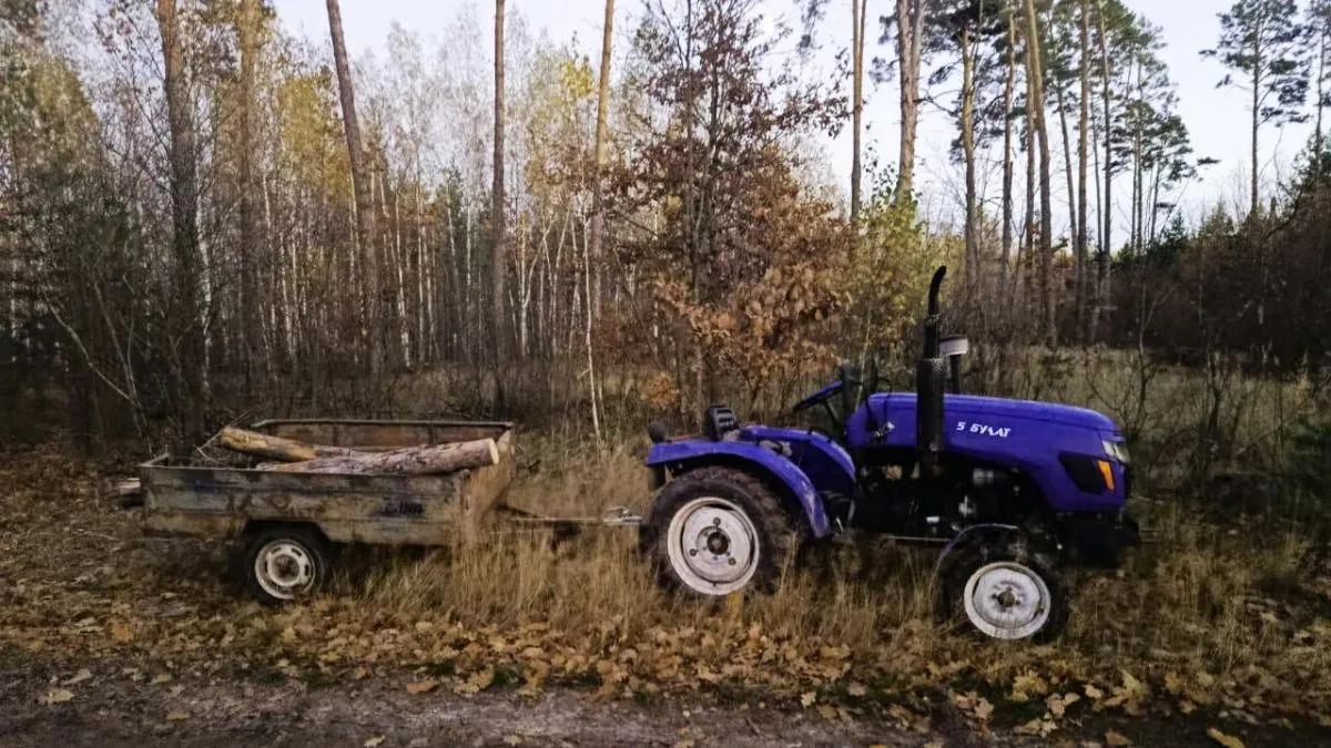 На Житомирщині чоловіка вбило дерево, яке він рубав: яку шкоду заподіяв «чорний» лісоруб
