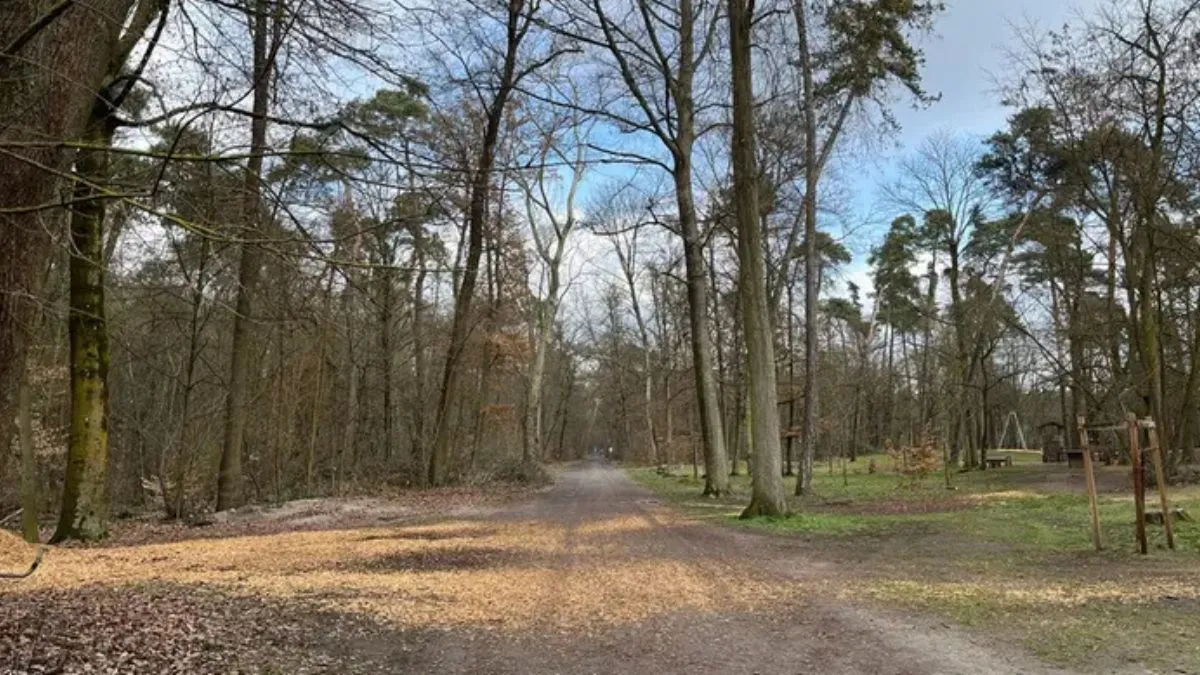 В Німеччині вбито молоду біженку з України: підозрюють 17-річного сирійця