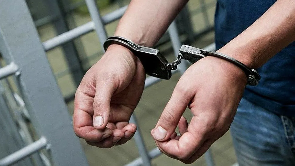 Підпалив «Нову пошту» та об'єкти залізниці: на Закарпатті суд виніс вирок диверсанту і зраднику України