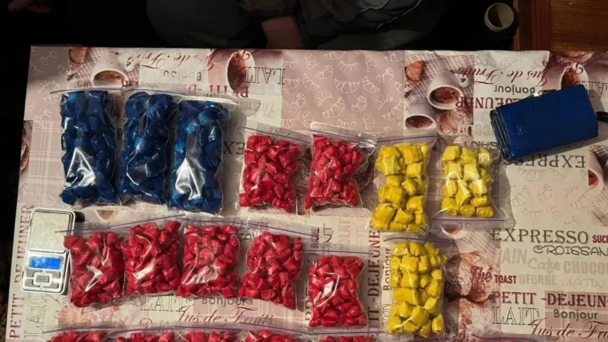 На Дніпропетровщині спіймали жіночку в якої знайшли наркотиків на кілька млн: який термін отримала дилерка