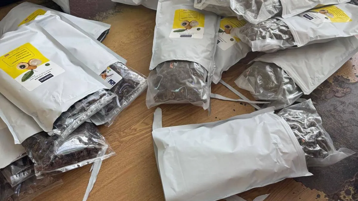 З Таїланду до України відправили лонган з сюрпризом: хто допоміг митникам знайти з-поміж сухофруктів дурман
