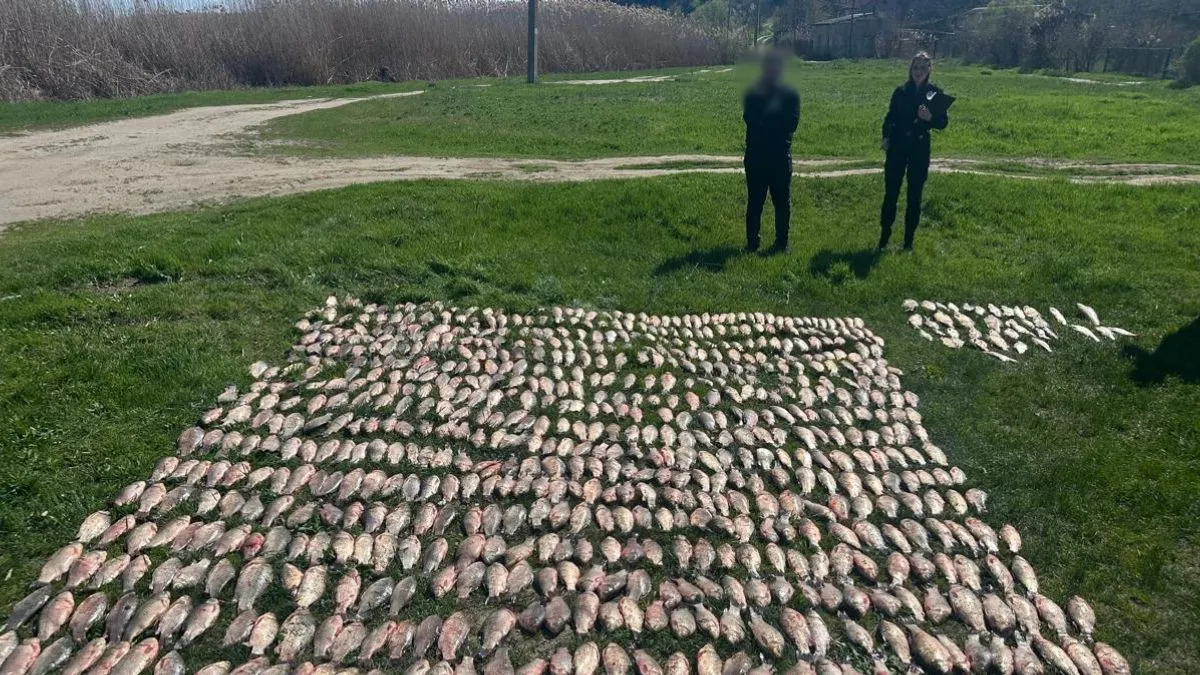 Чоловік з Одещини може сісти за ґрати через рибу: що накоїв рибалка