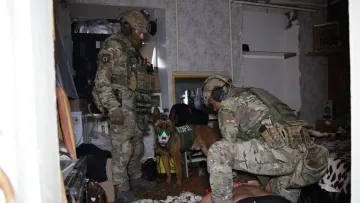 «Пуститися берега» по-дніпровськи на мільйони: як 58-річна жінка створила лабораторію та чим усе закінчилося