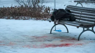 Українку знайшли мертвою в парку Берліна: поліція затримала підозрюваного