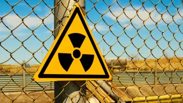 Хлібчик з Чорнобиля: в зоні відчуження роками вирощували пшеницю