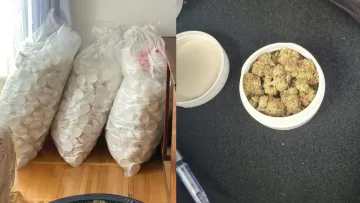 Сімейний бізнес, але є нюанс: 77-річна бабуся з сином вирощувала коноплю на Львівщині – їх спіймали