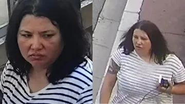 Кімната тортур у підвалі: ОГП провів обшуки в фігурантів справи замаху на Єрмолаєва 