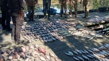 Вудили рибу у зоні відчуження: як покарали браконьєрів з Київщини та про які об'єми й збитки державі йдеться