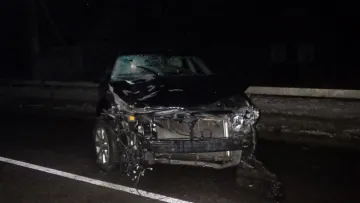 На Рівненщині п'яний правоохоронець збив жінку на велосипеді й кинув її помирати на дорозі: що загрожує вбивці