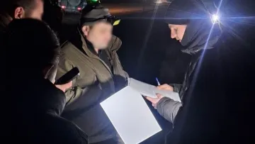 Кинув гранату до подвір'я подружжя: на Чернігівщині чоловік вчинив дивну дію і піде під суд