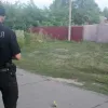На Одещині працівник ТЦК збив дворічну дитину та втік з місця ДТП: яке покарання йому загрожує
