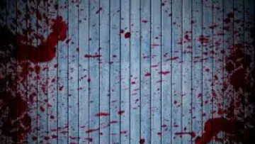 У кращих традиціях італійської мафії: у Києві чоловік залив двері колишньої кров'ю та розкидав кишки – відео