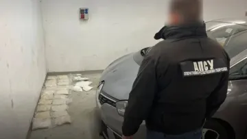 На українсько-польському кордоні спіймали панянку, яка везла майже 30 кг наркотиків: асортимент дилерки вражає