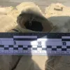 Чоловіка з Харківщини судили за користування порохом з покинутих росіянами позицій: подробиці справи