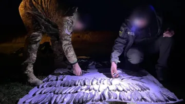 Браконьєр з Одещини наловив риби на вісім мільйонів: як покарають рибалку-пенсіонера