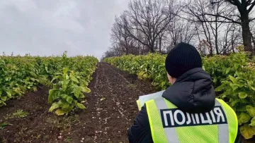 На Хмельниччині викрили «тютюнових баронів»: об'єми прибутків ділків вражають – йдеться про десятки мільйонів