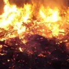 На Львівщині онук кремував бабусю просто на городі: пояснення вчинку чоловіка шокують