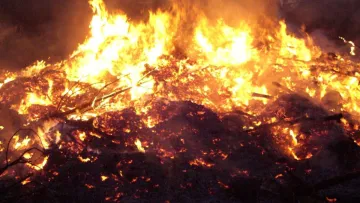 На Львівщині онук кремував бабусю просто на городі: пояснення вчинку чоловіка шокують