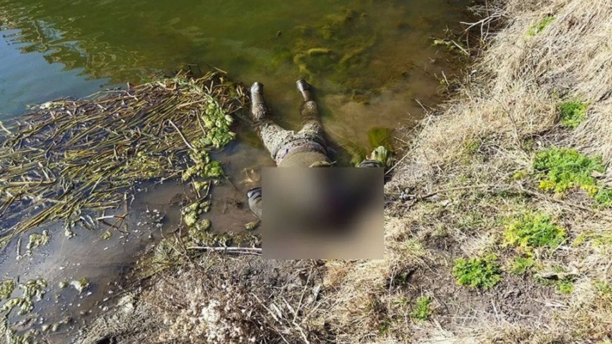 Визнали придатним, а потім – виявили мертвим: у Миколаєві знайшли труп чоловіка, якого затримав луцький ТЦК