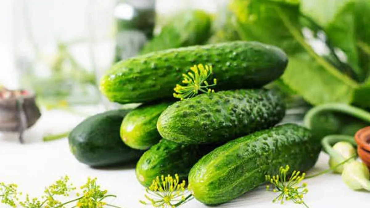 В Україні рекордно подорожчали огірки: оптова ціна – найвища за 8 років